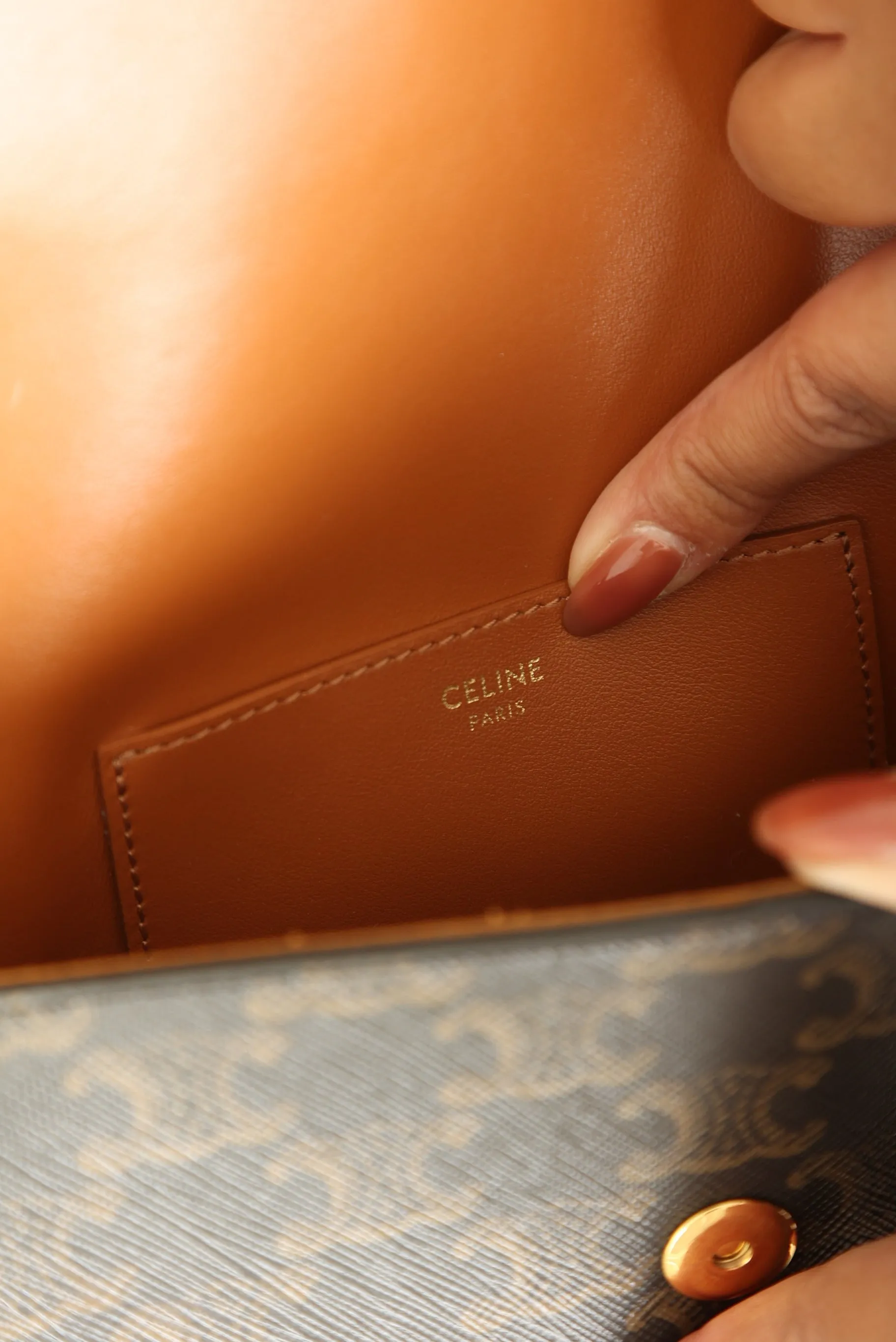 Celine Triomphe Mini Bag