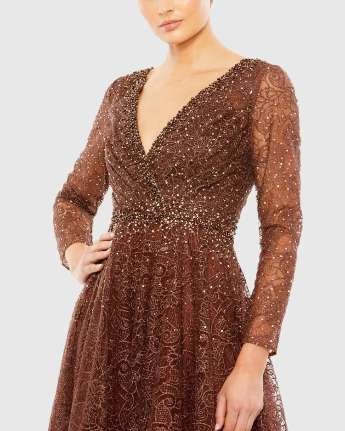 Embellished Illusion Long Sleeve V Neck Gown