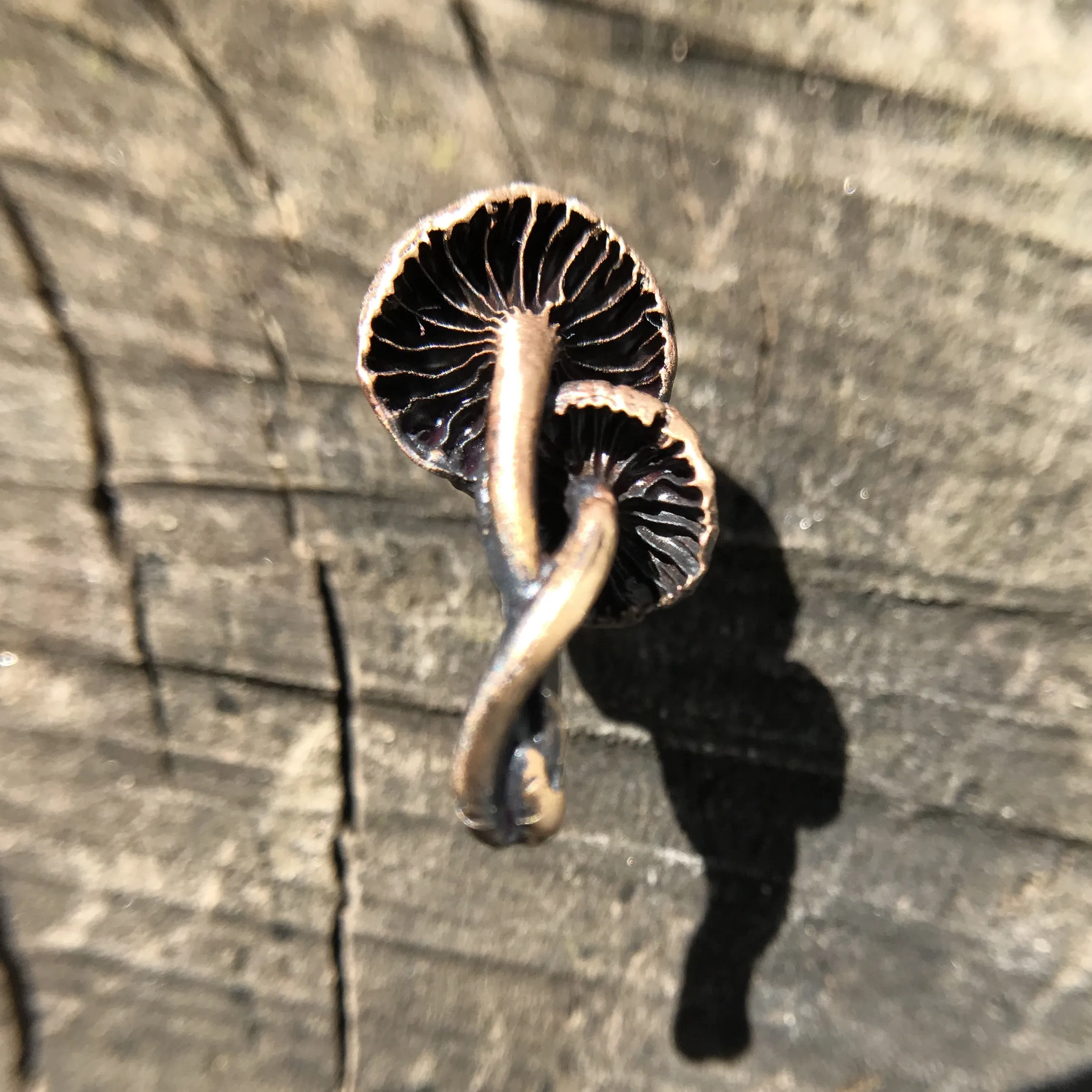 Mushroom pin