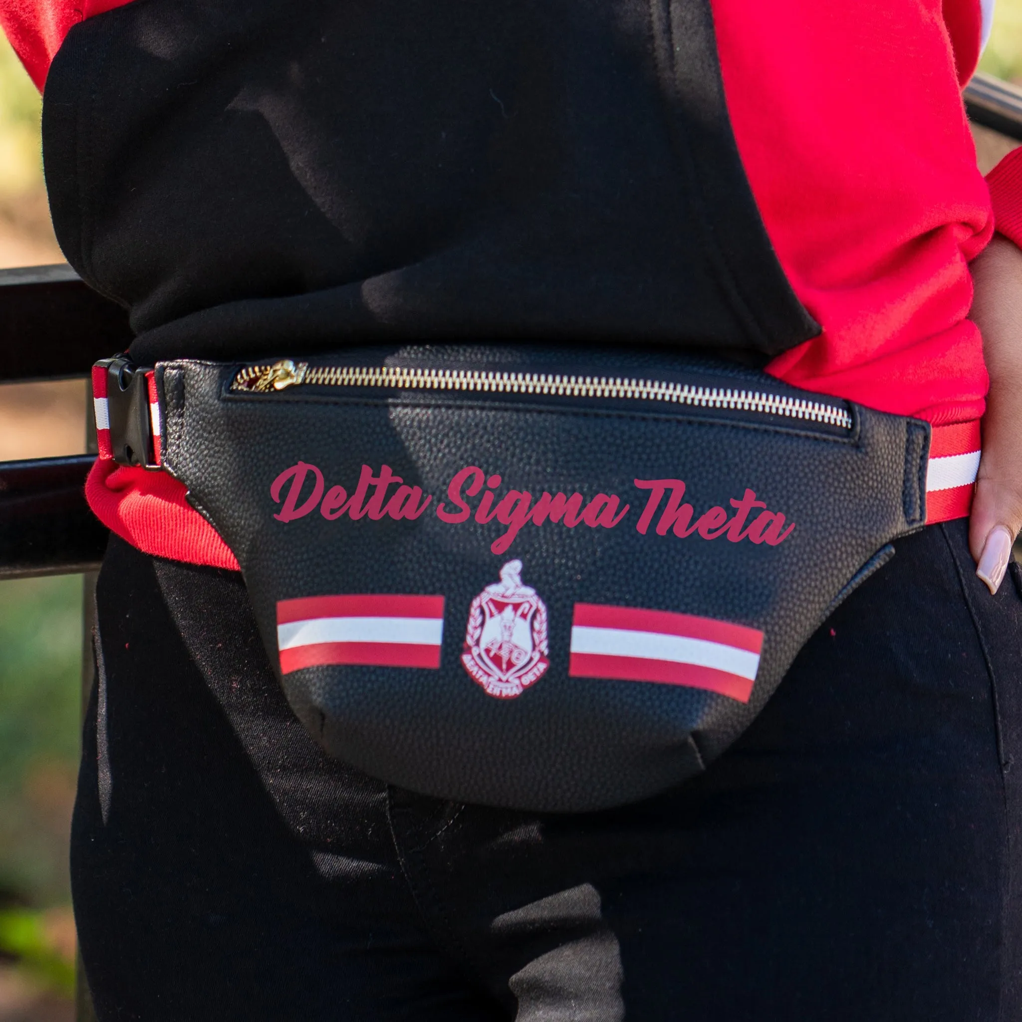 Printed Delta Belt Bag