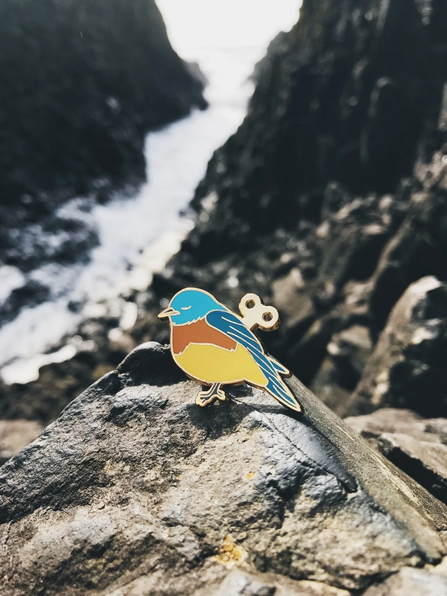 Wind-Up Bird Enamel Pin